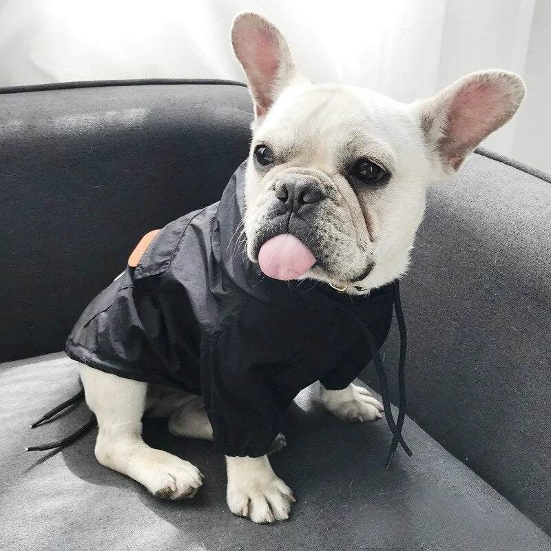 stylish dog jackets